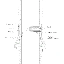 Buch and muller.webp